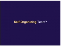 Defining Self Organizing Teams